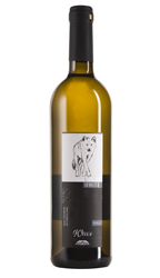 2024er Riesling „LUPUS WHITE“ TROCKEN