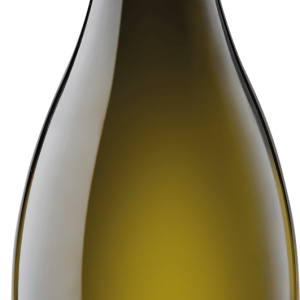 Sacchetto Colli Vino Frizzante Prosecco