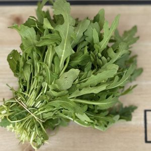 Rucola 1 Bnd.