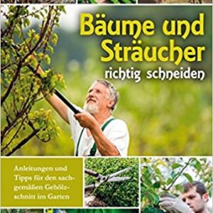 Bäume und Sträucher richtig schneiden