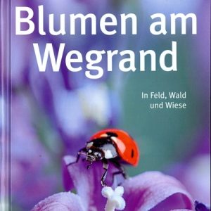 Blumen am Wegrand – In Feld, Wald und Wiese