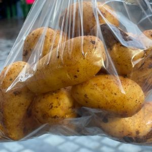 Galatiner Kartoffeln neue Ernte Italien 1kg