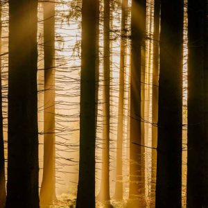 Morgenstund | Freiamt