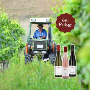 6er Otto Freyer-Paket