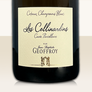 Champagne René Geoffroy Coteaux Blanc  Les Collinardins  2020