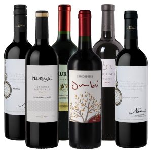 Südamerika Rotwein Probierpaket