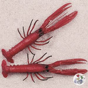 Norwegische Hummer