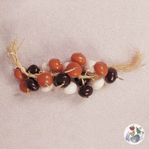 Zwiebelzopf
